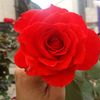 amir.alali7