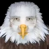 diskodogo