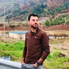 ali_1998a