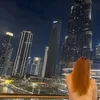 angi_jst