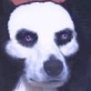 hollowcanyougo