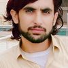 arasheedbrohi