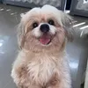j.mariiyaa