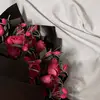 halima.91ali