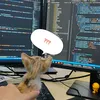 binhnv.dev