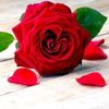 user3316254687082