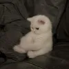 tanhh_0902