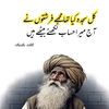 wajisherazi572