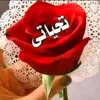 user10f63d46dn