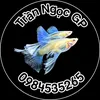tranngocgp