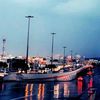khaledal760