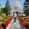novidian8