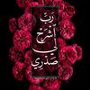 saddams295