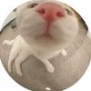 linny_565