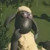beamvk0
