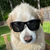 goldenzzzzzz5
