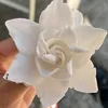 nhatanh040801