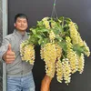 hoalannguyentam