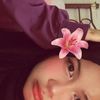 ny_bunny