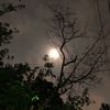 moonshine._.2008