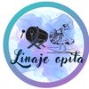 linajeopita_oficial