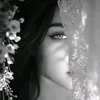 _ililn1