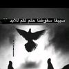 saqrmuhammad7