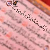 alshamarealaslme