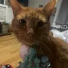 emsz95
