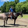 Horse Trading
