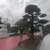 userqipm03qezb
