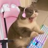 it_me_ke11y