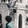 hamo_atef111