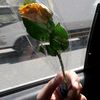user2c8doaa