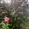 user855188030tiktok.com