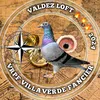 zafi28official_gaming
