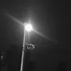 8.3.20a