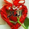 userlwq6t0utwy