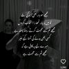 hayyat.z8