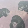 secret_k95