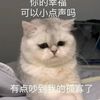 jjjn__17