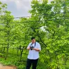 djmap686868