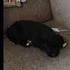 __ella_ella__