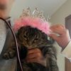 morgeypants2903