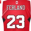 davidferland100