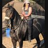 cristy_vandenhende