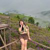 chom7_