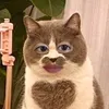 nt.th_h