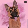 Lucy the GSD