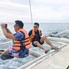xbluewee
